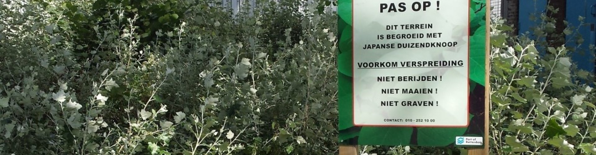 Wet- en regelgeving invasieve exoten cover